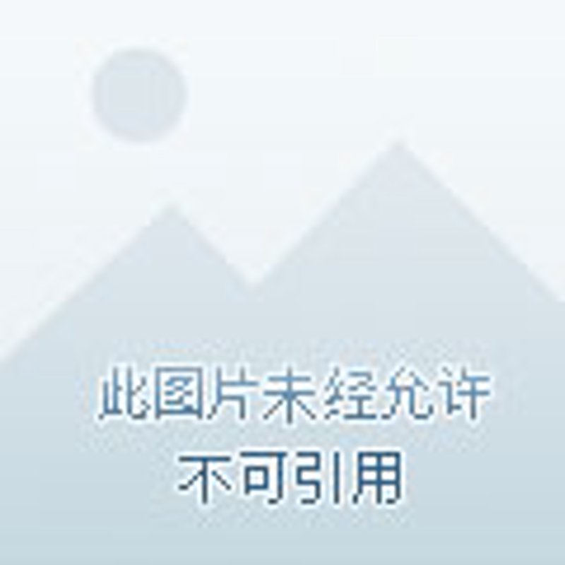 分享赚APP开发:构建社交经济新生态